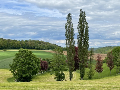 Foto Gunther Haage: Bei Braunfels