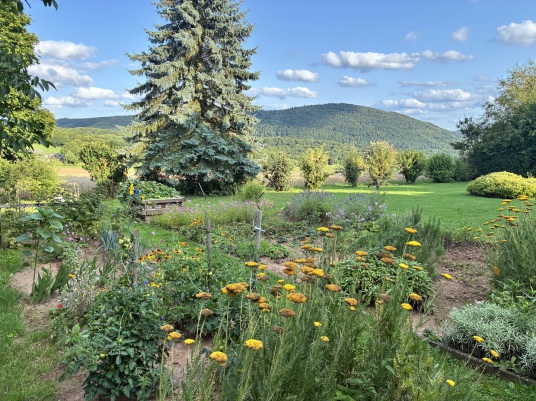 Foto Gunther Haage: Zuhause in der Pfalz