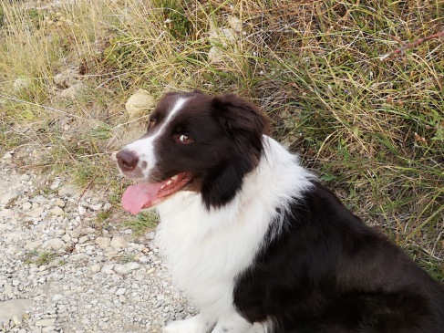 In der Provence 10/2019